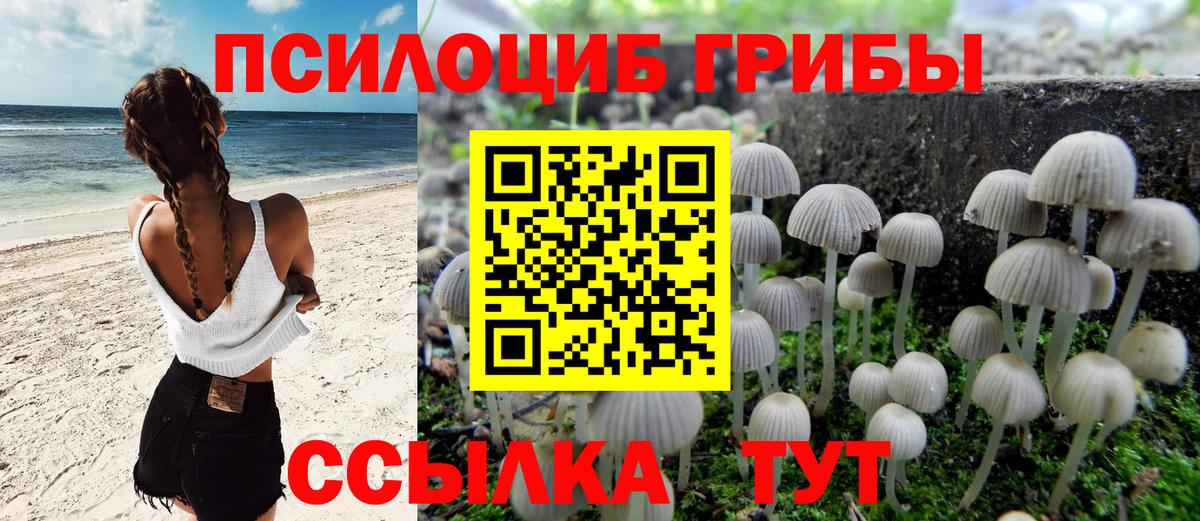 Псилоцибиновые грибы ЛСД  дарнет шоп  Вход с VPN  Альметьевск  Галлюциногенные грибы мухоморы 